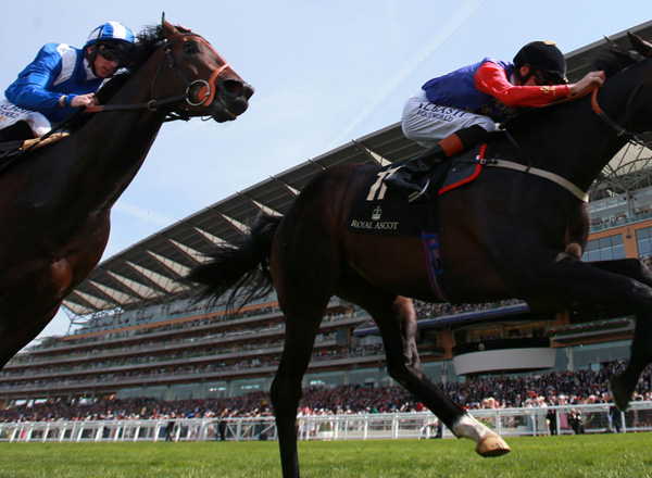 Rugby Limo Hire Royal Ascot | Royal Ascot Hummer Limo Hire Rugby Rugby Limo Hire Royal Ascot | Royal Ascot Hummer Limo Hire Rugby